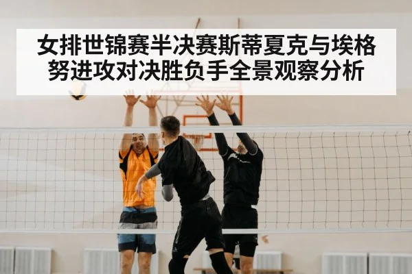 volleyball net block