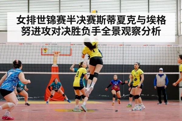 volleyball match arena